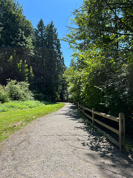 Stoney Creek Trail